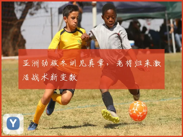 亚洲劲旅冬训见真章，老将归来激活战术新变数