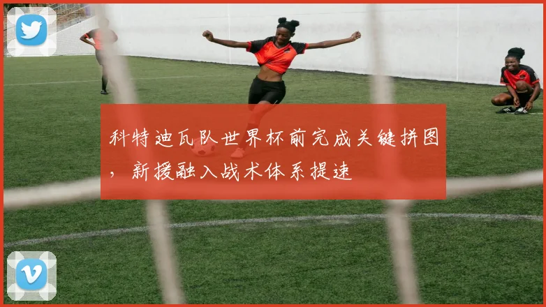 科特迪瓦队世界杯前完成关键拼图，新援融入战术体系提速