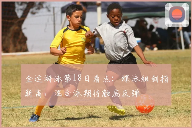 全运游泳第18日看点:蝶泳组剑指新高,混合泳期待触底反弹
